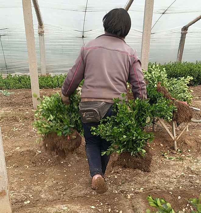 發(fā)貨現(xiàn)場(chǎng)